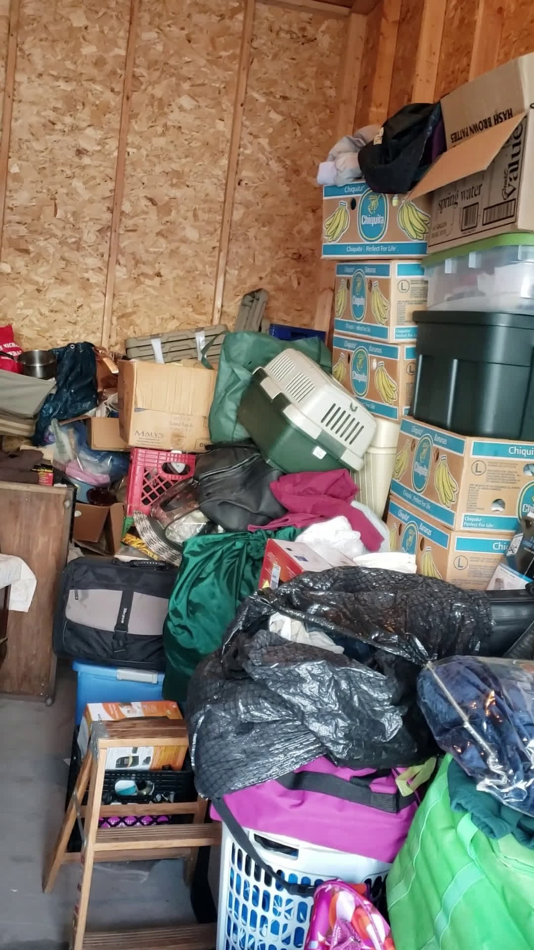 Unit 217 Dorr, Michigan Dorr MiniStorage BID13