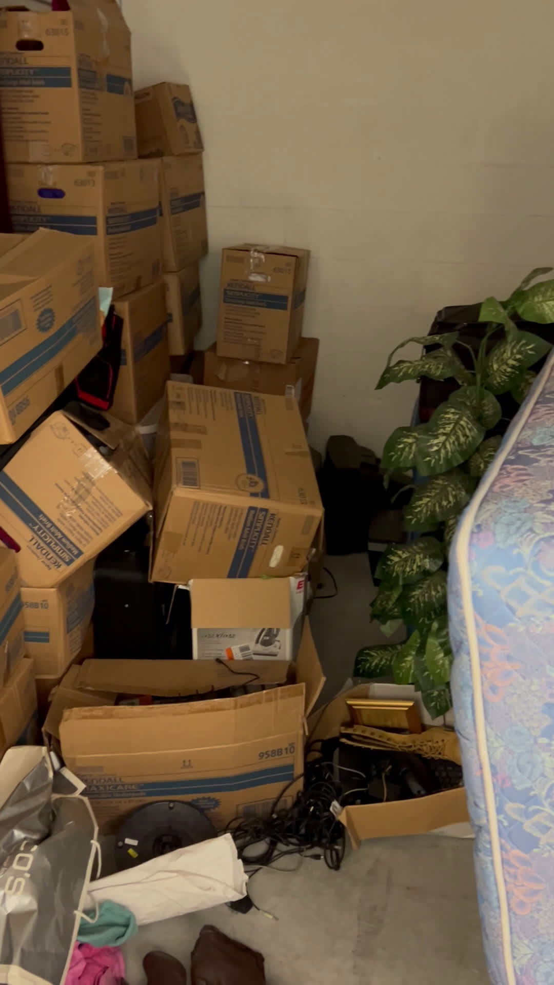 Unit 1253 West palm beach, Florida Eastern Self Storage BID13