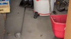 Shop-Vac