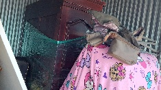 miscellaneousfurniture