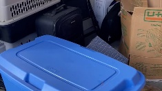 plastic-bins