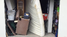 skateboards