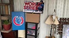 Cubs-signs