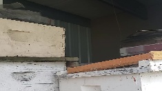 bee-boxes