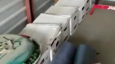 Litter-Box-Cabinet