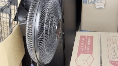 fan