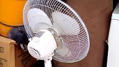 fan