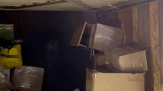 boxes