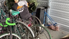 bicycle-trailer