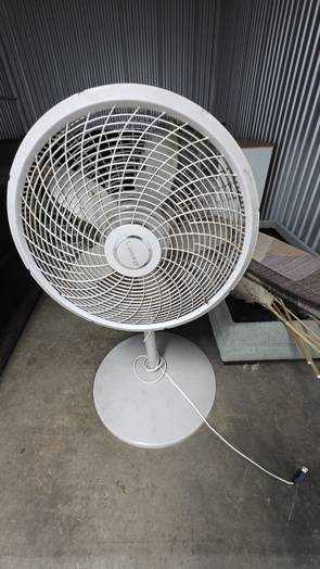 Fan