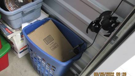 2-boxes