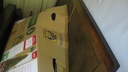 Boxspring