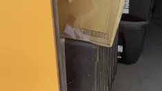 Tommy-Bahama-Umbrella