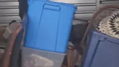 Boxes and Bins