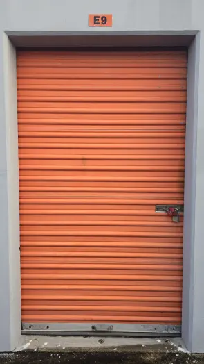 Primo-water-dispenser