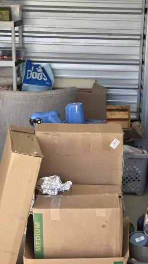 shelf