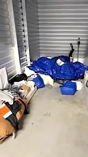 Bags