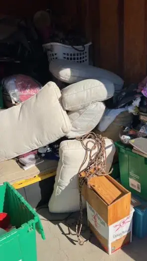 Luggage