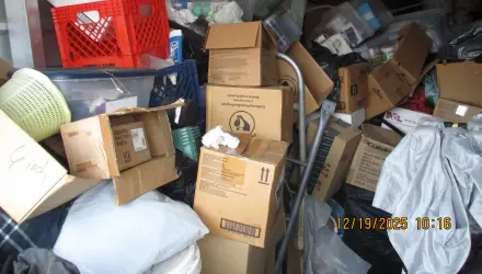 Shelves