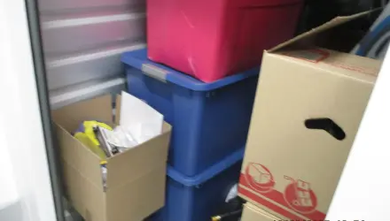 Toy-dinos