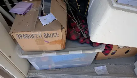 Clothes