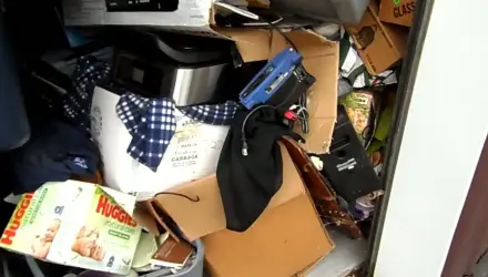 Bags