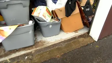 Totes