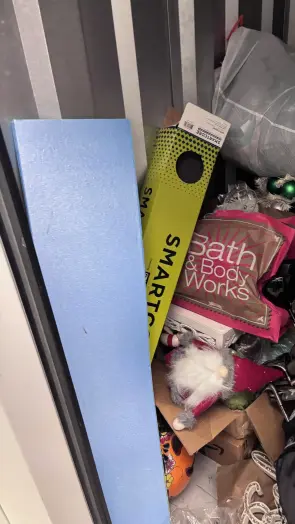 Fan