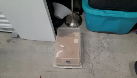 Bags
