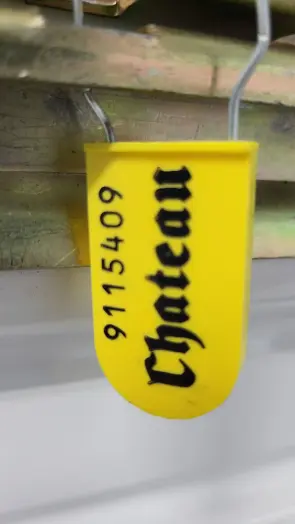 Totes
