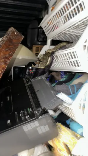Laptops