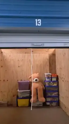 Stuffedanimal