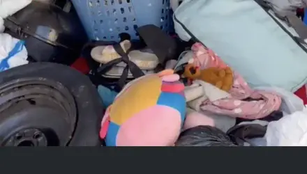 Bedding
