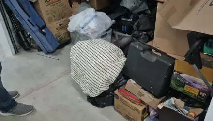 Bags