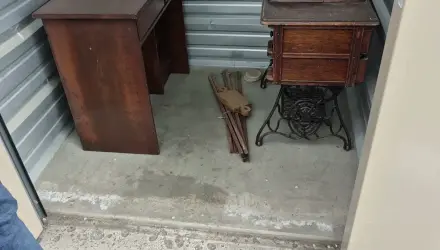 Singer