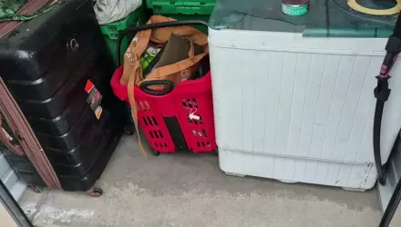 Life-jackets