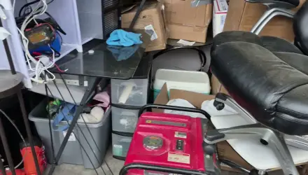 Audio