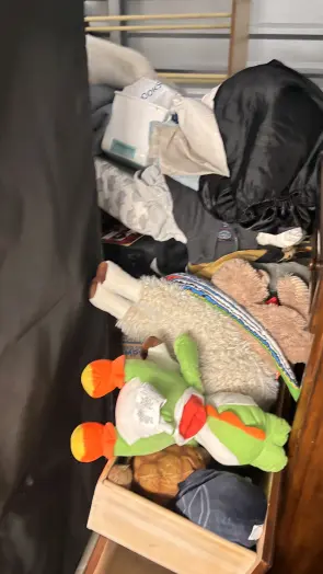 Luggage