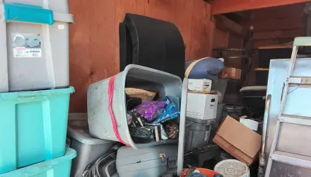 Totes