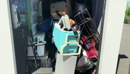 Organization