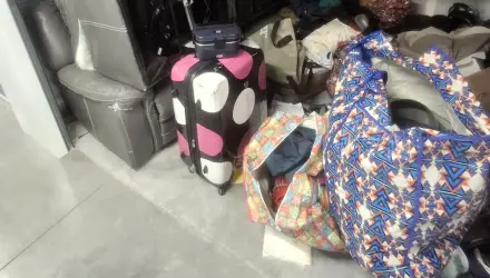 Suitcase