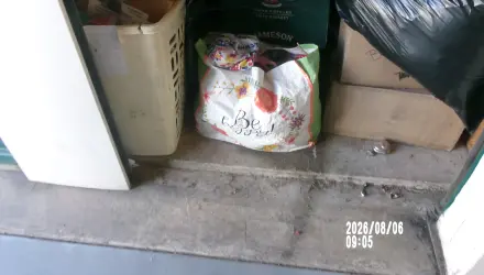 OrganizingShelf
